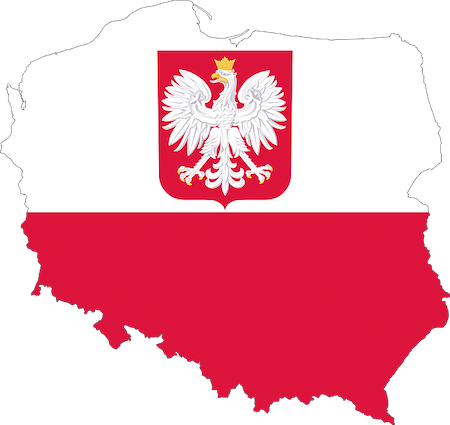 Die Geschichte der polnischen Institute