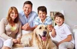 Familienhunde: diese Rassen sind besonders Familien geeignet